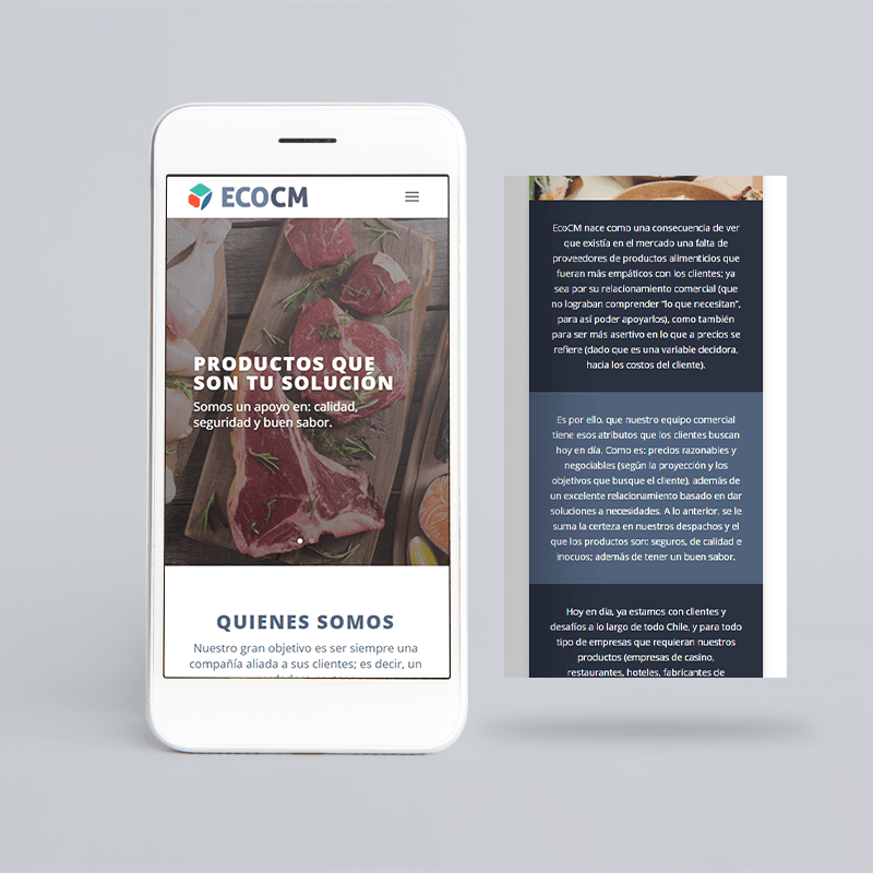 mockup celu pag web